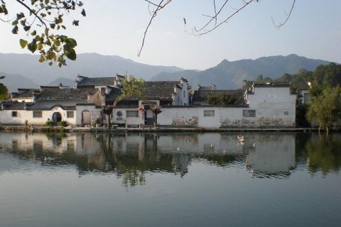 杏花，春雨，再来江南