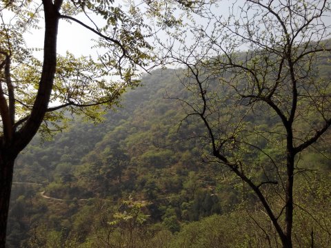 登香山