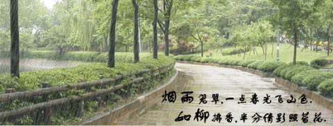 六月，细雨流殇