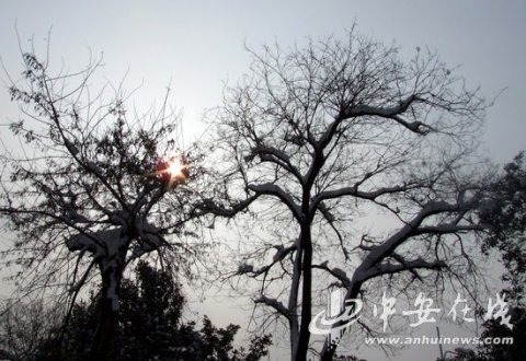 《雪后阳光》