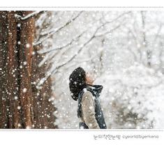 那个冬天飘着雪