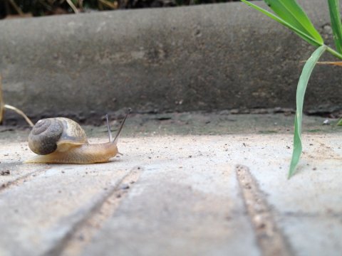 永不停下的旅程