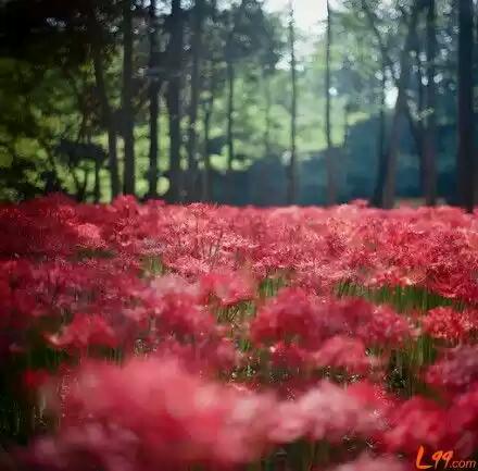 岁月如歌，从荒芜一路走来