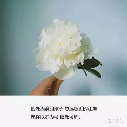 岁月缝花，筑梦以城