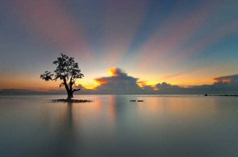 时间沉淀阅历，世事尽可原谅