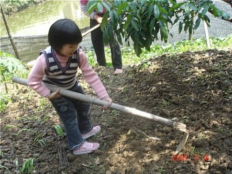 儿时学耕种（忆）