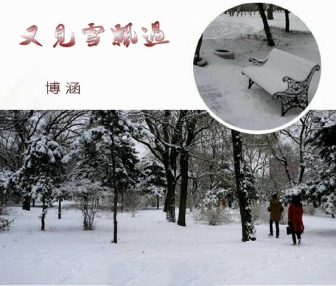 【原创】又见雪飘过