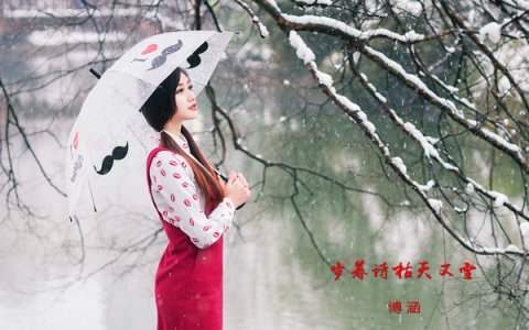 【博涵散文】岁暮诗枯天又雪