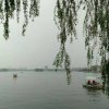 游大明湖