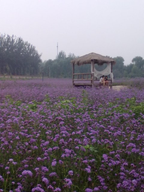 双子座流星雨 第二部