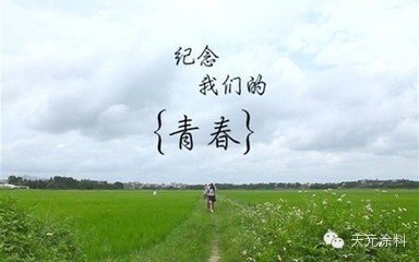 时光不老，青春不散场